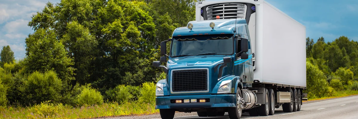 Camión refrigerado parado en la carretera por una aparente falla.