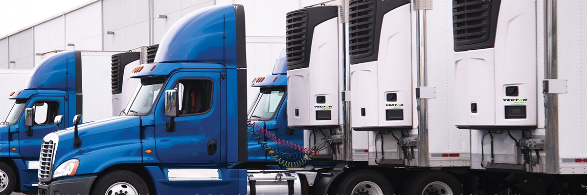 Servidores de computo.