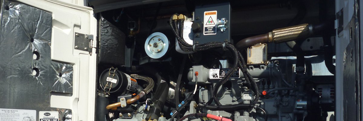 Servidores de computo.